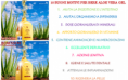 /album/galleria-fotografica/a10-buoni-motivi-per-bere-aloe-vera-gel-png/